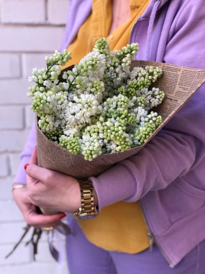 Букет сирени № 1