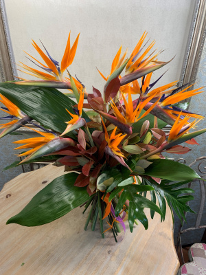 Экзотик № 1