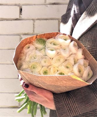 Букет из 31 белого ранункулуса