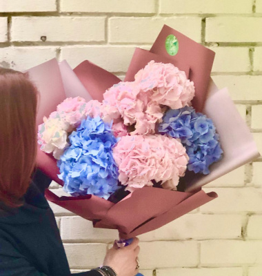 Гортензии № 2 - 7 шт