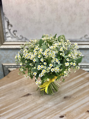 Букт из матрикарий № 1-25 шт